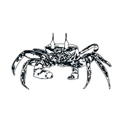 black and white sketch of a crab with transparent background