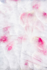 Flower petals in ice. Spring coming concept.