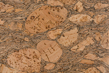 Wood cork surface
