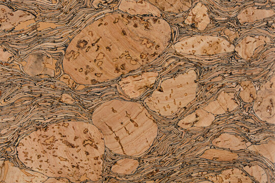 Wood cork surface