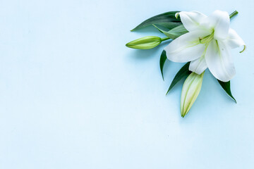 White liles flowers. Mourning or funeral background. Floral mock up