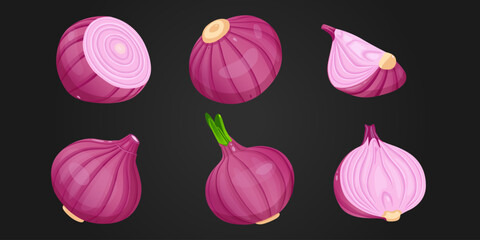 Vector fresh red onion on white. Vector illustration.