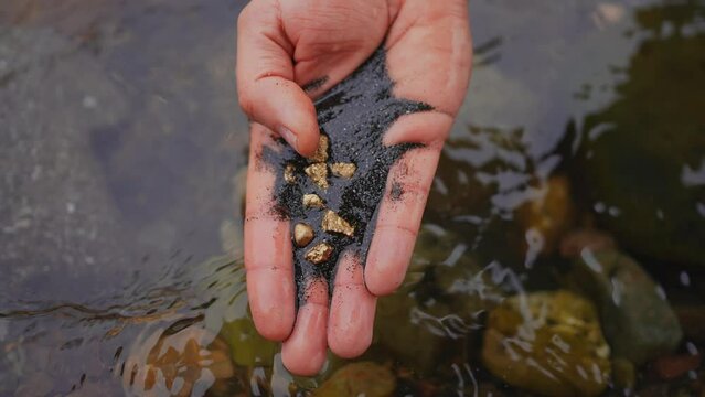 Gold nuggets in hand gold mining old school ,traditional gold rush mining gold washing river