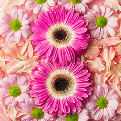 Two gerbera flowers in the form of an eight surrounded by petals.