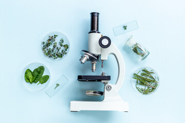 Chemical laboratory of plants supply. Plants research with microscope