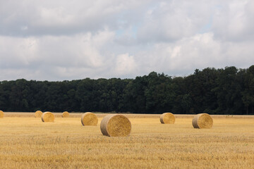 Strohballen liegen auf dem Stoppelfeld