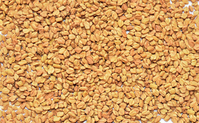 Fenugreek Seed (Methi Dana) Culinary Herb Spice Top View Background.