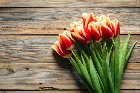 Bouquet of fresh tulips on a wooden background, top view, concept of mother's day, women's day, spring background with a bouquet of flowers, rustic style.