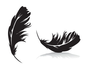 Obraz premium Feder als Vektorgrafik