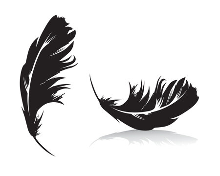 Feder als Vektorgrafik