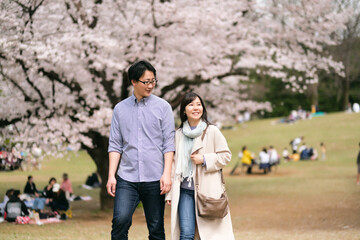Fototapeta premium 満開の桜の公園でデートするカップル