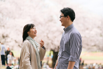 満開の桜の下で話をするカップル