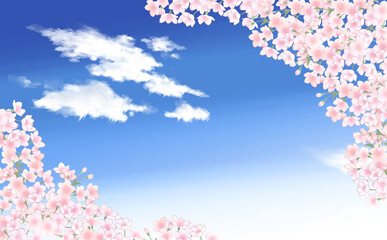 青空と満開の桜・1 背景素材
