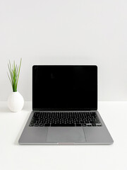 Front view of Laptop and vase with green plant on white table with white background