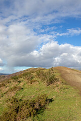 Fototapeta premium Springtime landscape along the Malvern hills.