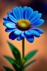 flower on blue background