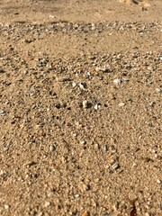 White and yellow sand on the beach of Phuket island. Seashells and pebbles on the beach