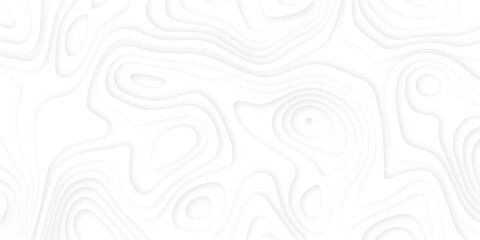 Abstract modern White wavy background.3d white paper cut background. gradient white color papercut with wavy layers,3d Vector topographic illustration.
