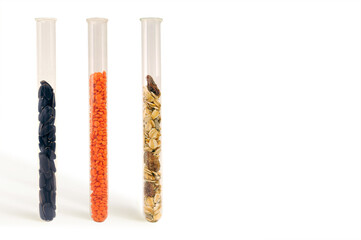 




Food-cereals and legumes in a test tubes
