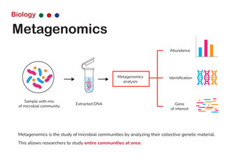 Biology diagram show concept of metagenomics that is a field of microbiology that studies the genetic material of entire microbial community.