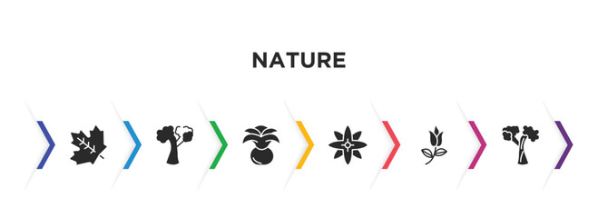 Naklejka premium nature filled icons with infographic template. glyph icons such as sugar maple tree, american beech tree, agave, petals, flower of leaves, silver maple tree vector.