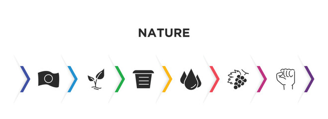 nature filled icons with infographic template. glyph icons such as japanese, tree growing, flowerpot, raindrop, grapevine, determination vector.