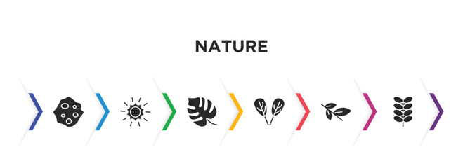 nature filled icons with infographic template. glyph icons such as orbicular, shining sun with rays, philodendron, plum leaf, willow leaf, briar leaf vector.