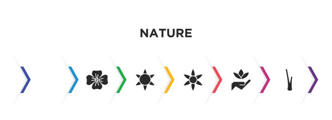 nature filled icons with infographic template. glyph icons such as gemstone, wallflower, gerbera, jonquil, save nature, lemongrass vector.