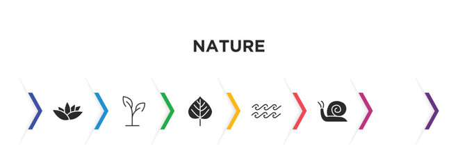 nature filled icons with infographic template. glyph icons such as nymphea, pansy, plant growing on book, birch, waves, snail vector.