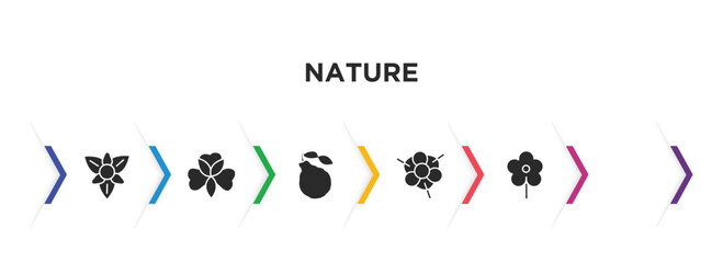 nature filled icons with infographic template. glyph icons such as gladiolus, alstroemeria, bergamot, magnolia, protea, daisy vector.