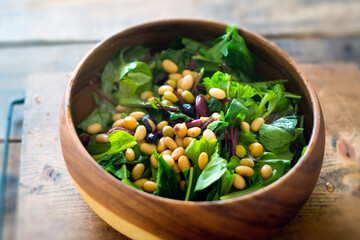 葉物野菜と豆のサラダ