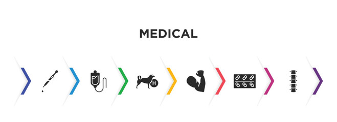 medical filled icons with infographic template. glyph icons such as eye dropper, plasma, canine, strong, cure, vertebra vector.