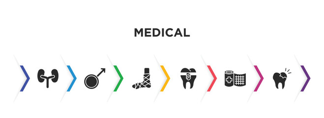 medical filled icons with infographic template. glyph icons such as kidneys, male, plastered foot, premolar, bandage, caries vector.