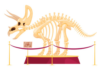 The skeleton of a herbivorous dinosaur on a pedestal in a museum. The skeleton of foot-and-mouth predators and herbivores. Archaeological excavations of dinosaur fossils. Study of ancient animals