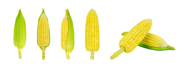 Collection of Corn