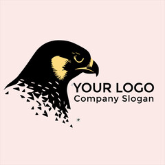Sleek Falcon Branding Logo