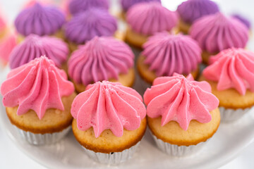 Mini Vanilla Cupcakes with Pink Buttercream Frosting