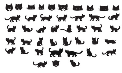 set of silouhaites in black shadow of cats