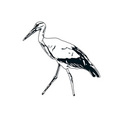 Obraz premium Black and white sketch of a stork with transparent background