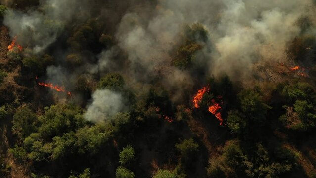 View from drone of fire spreading across the field