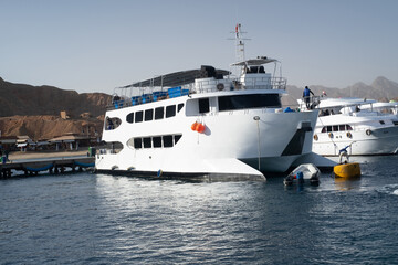 Naklejka premium Beautiful white private motor yacht for a boat trip on the Red Sea, Egypt