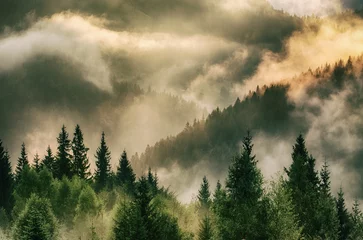 Foto auf Acrylglas Morgen mit Nebel Misty mountain landscape