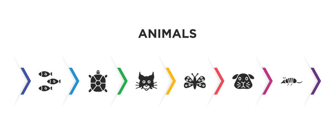 animals filled icons with infographic template. glyph icons such as shoal, tortoise, lynx, moth, guinea pig, armadillo vector.