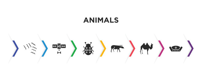 animals filled icons with infographic template. glyph icons such as flock of birds, leash, ladybird, tapir, humps, pet bed vector.