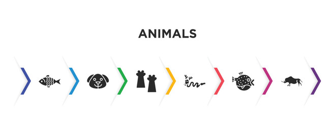 animals filled icons with infographic template. glyph icons such as carp, dog head, leg, japanese dragon, blowfish, coelodonta vector.