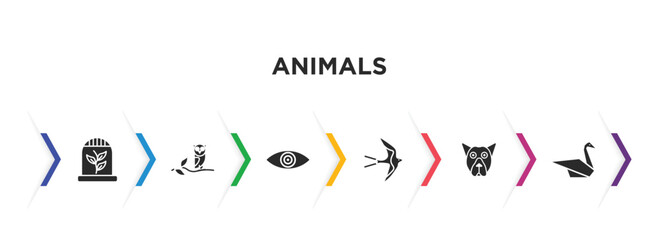 animals filled icons with infographic template. glyph icons such as herpetarium, wise, fish eye, swallow, pit bull, origami swan vector.