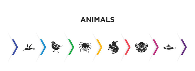 Fototapeta na wymiar animals filled icons with infographic template. glyph icons such as colibri, sparrow, spider, squirrel, chimpanzee, salmon vector.