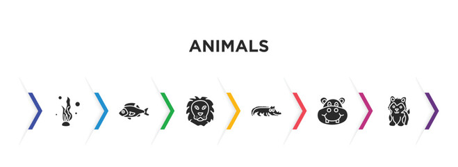 animals filled icons with infographic template. glyph icons such as seaweed, perch, lion, crocodile, hippopotamus, siberian husky vector.