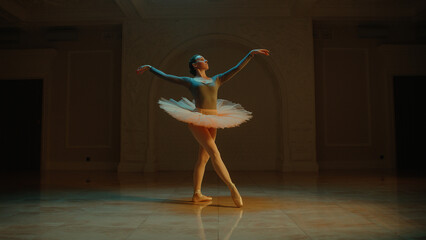 Cinematic shot of beautiful classical ballet female dancer in white tutu dress dancing in theatre...