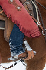 Western lifestyle outdoor image of the lower leg of a cowgirl wearing red leather chaps and cowboy...